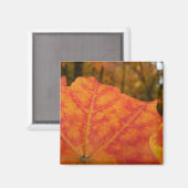 Abstracte herfst Sinaasappel- en Rode Maple Natuur Magneet (Voorkant / Achterkant)