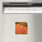 Abstracte herfst Sinaasappel- en Rode Maple Natuur Magneet (Insitu (Vaatwasser))