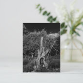 Abstracte horrorkunst - poppenhoofd in dode boom briefkaart (Staand voorkant)