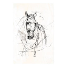 Abstracte Horse Portrait Sketch - Premium