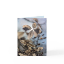 Abstracte Hortensia