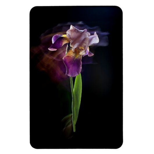 Abstracte Iris Bloem – Elegante Bloemkunst Magneet (Verticaal)