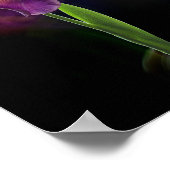 Abstracte Iris Bloem – Elegante Bloemkunst Poster (Hoek)