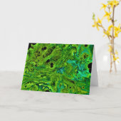 Abstracte kleurenstudie 262, kaart (Gele Bloem)