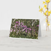 Abstracte kleurenstudie 466, kaart (Gele Bloem)