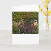 Abstracte kleurenstudie 499, Kaart (Gele Bloem)