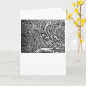 Abstracte kleurstudie 32 / Noir, Kaart (Gele Bloem)