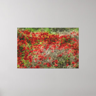 Abstracte kunst met mooie rode bloem canvas afdruk