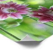 Abstracte kunst met rode en witte ventilatoren poster (Hoek)