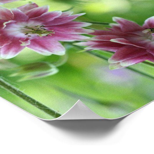 Abstracte kunst met rode en witte ventilatoren poster (Hoek)