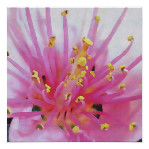 Abstracte kunst met roze peach Pollen Macro Perfect Poster