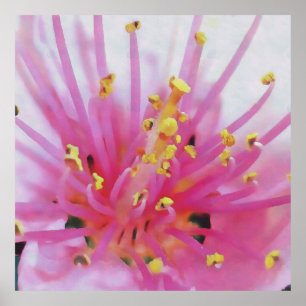 Abstracte kunst met roze peach Pollen Macro Poster