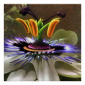 Abstracte kunst van een passievloer perfect poster (Voorkant)