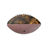 Abstracte kunst van moeder aarde american football (Gedraaid 270)