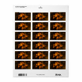 Abstracte kunst van Mystique Garden Etiket (Full Sheet)