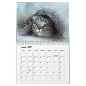 Abstracte Kunstkat Kalender (Jan 2027)