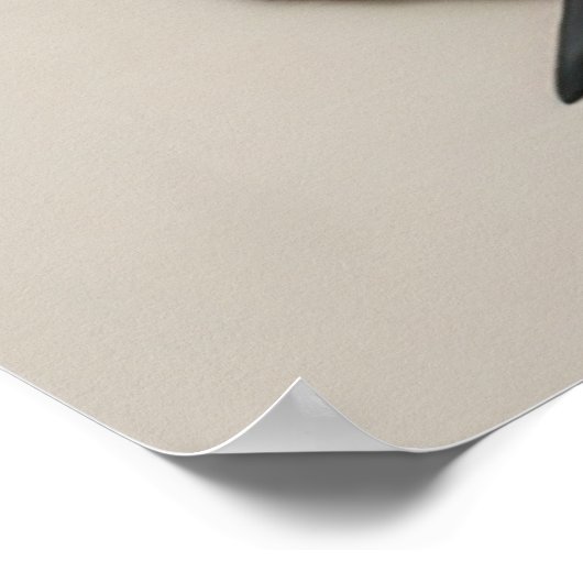 Abstracte Leaf Collage Neutral Tones Boho Poster (Hoek)