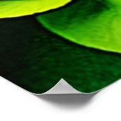 Abstracte Lemon Limoen Natuur Art Poster (Hoek)