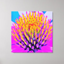 Abstracte Macro Hot Pink en Gele Coneflower Canvas Afdruk