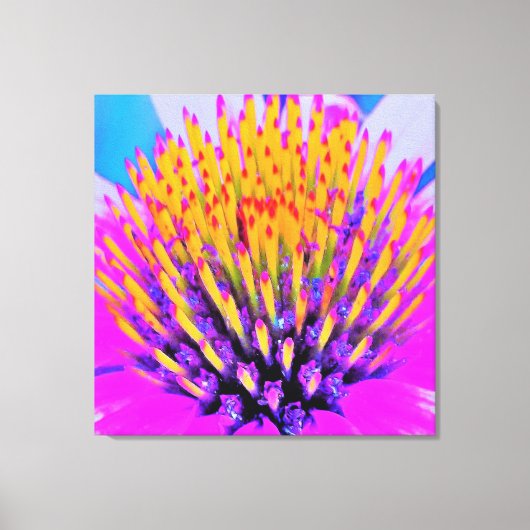 Abstracte Macro Hot Pink en Gele Coneflower Canvas Afdruk (Voorkant)