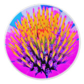 Abstracte Macro Hot Pink en Gele Coneflower Keramische Knop (Voorkant)