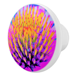 Abstracte Macro Hot Pink en Gele Coneflower Keramische Knop