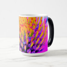 Abstracte Macro Hot Pink en Gele Coneflower