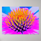 Abstracte Macro Hot Pink en Gele Coneflower Poster (Voorkant)