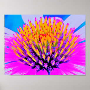 Abstracte Macro Hot Pink en Gele Coneflower Poster