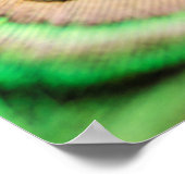 Abstracte Macro Peacock Veer met Poster Druppels (Hoek)