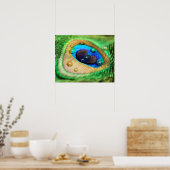Abstracte Macro Peacock Veer met Poster Druppels (Keuken)