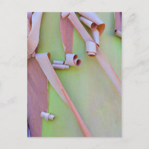 Abstracte madrone-boomschors briefkaart