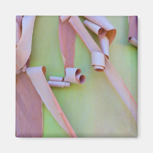 Abstracte madrone-boomschors magneet (Voorkant)