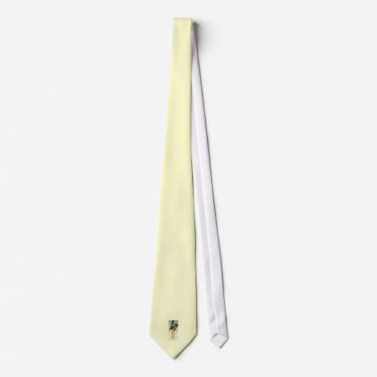 Abstracte mandolinespeler stropdas (Voorkant)
