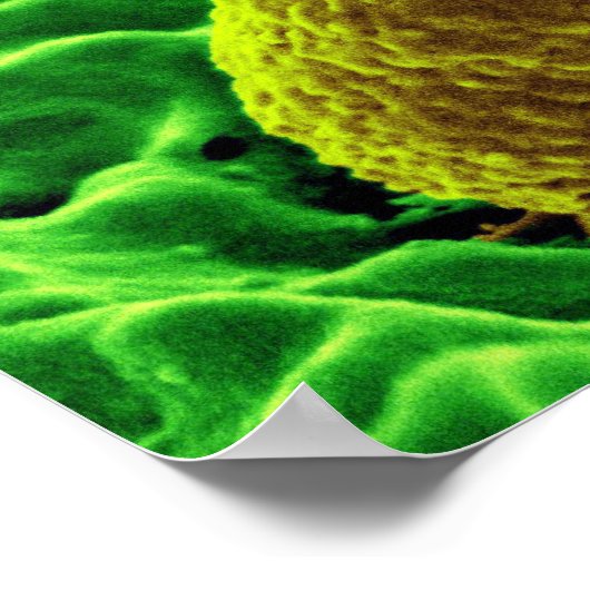 abstracte microbiologie, aangepast poster doek (Hoek)