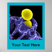 abstracte microbiologie, aangepast poster doek (Voorkant)