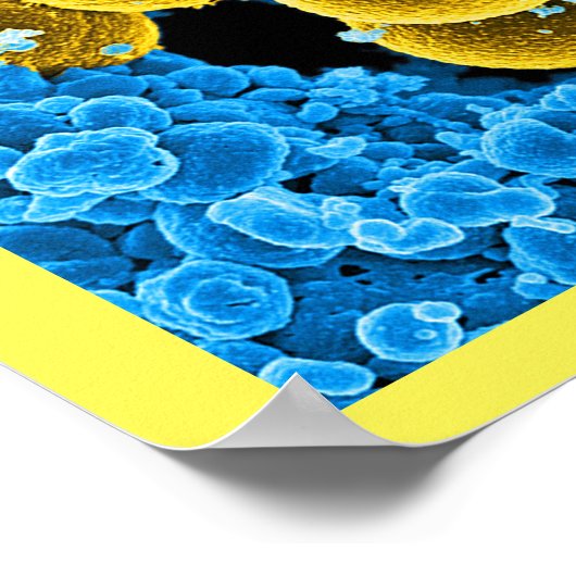 abstracte microbiologie, aangepast poster doek (Hoek)