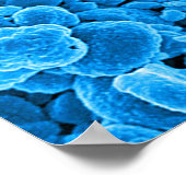 abstracte microbiologie, aangepast poster doek (Hoek)