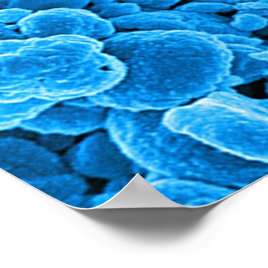 abstracte microbiologie, aangepast poster doek (Hoek)