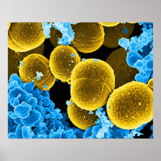 abstracte microbiologie, aangepast poster doek