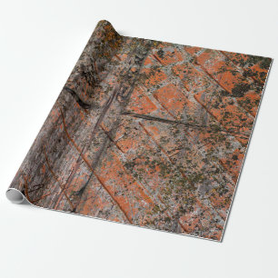 Abstracte multicolor grunge achtergrond met abstra cadeaupapier
