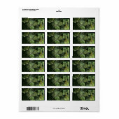 Abstracte multifunctionele balans etiket (Full Sheet)