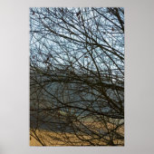 Abstracte Natuur Poster (Voorkant)