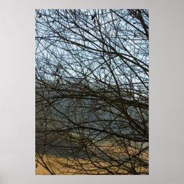 Abstracte Natuur Poster