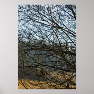 Abstracte Natuur Poster