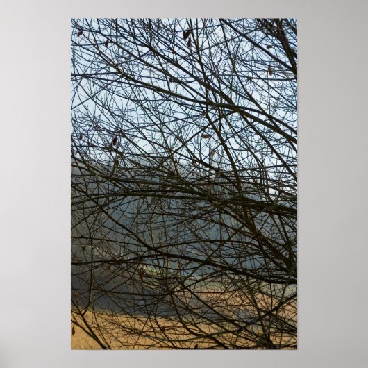 Abstracte Natuur Poster (Voorkant)