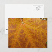 Abstracte Natuur van gele mazelen in het najaar Briefkaart (Voorkant / Achterkant)