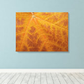 Abstracte Natuur van gele mazelen in het najaar Canvas Afdruk (Insitu (Houten vloer))