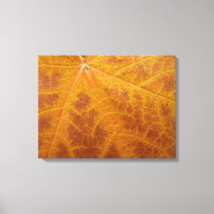 Abstracte Natuur van gele mazelen in het najaar Canvas Afdruk
