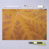 Abstracte Natuur van gele mazelen in het najaar Tissuepapier (Craft)